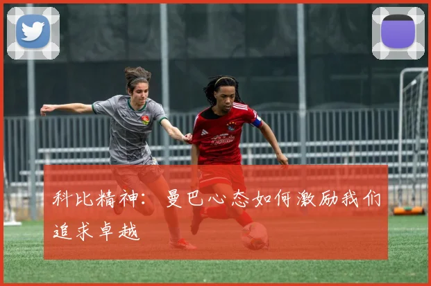 科比精神：曼巴心态如何激励我们追求卓越
