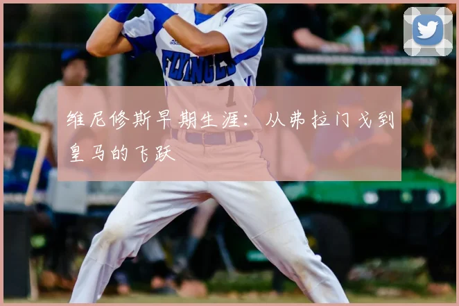 维尼修斯早期生涯：从弗拉门戈到皇马的飞跃